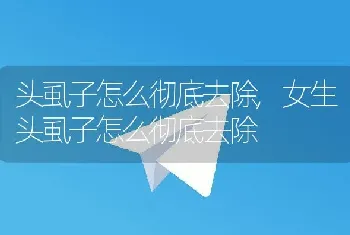 头虱子怎么彻底去除