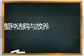 蟹种选购与放养