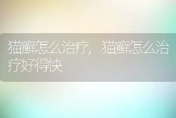 猫癣怎么治疗