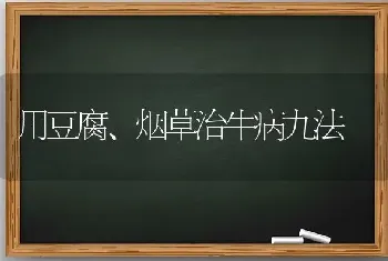 用豆腐、烟草治牛病九法