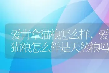 爱肯拿猫粮怎么样,爱肯拿猫粮怎么样是天然粮吗