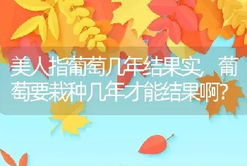 孔雀鱼多久长大