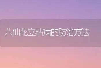 八仙花立枯病的防治方法