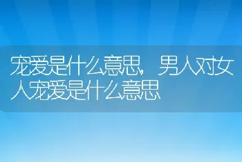 宠爱是什么意思,男人对女人宠爱是什么意思