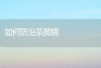 如何防治茶黄螨