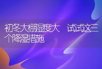 初冬大棚湿度大 试试这三个降湿措施