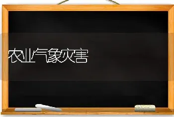 农业气象灾害