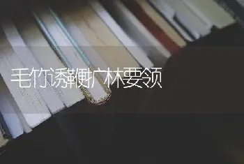 毛竹诱鞭扩林要领