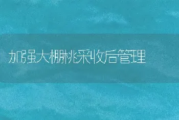 加强大棚桃采收后管理