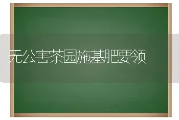 无公害茶园施基肥要领