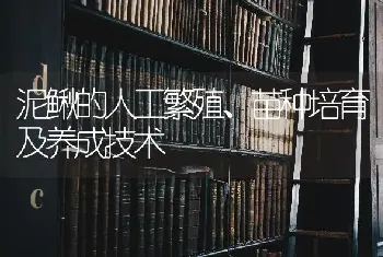 泥鳅的人工繁殖、苗种培育及养成技术