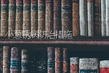 小葱锈病防治措施