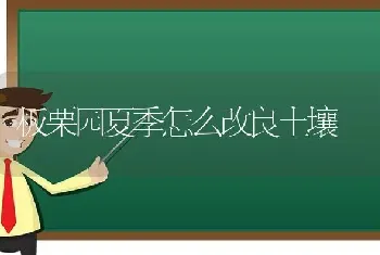 板栗园夏季怎么改良土壤