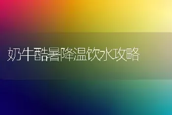 奶牛酷暑降温饮水攻略