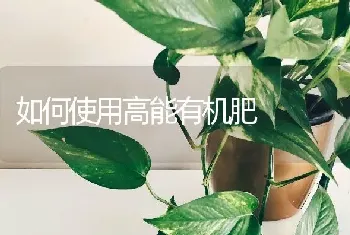 如何使用高能有机肥