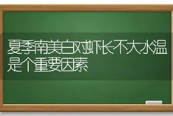 夏季南美白对虾长不大水温是个重要因素