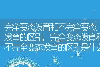 完全变态发育和不完全变态发育的区别