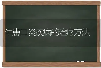 牛患口炎疾病的治疗方法