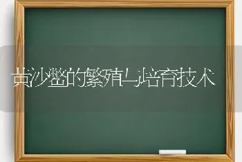 黄沙鳖的繁殖与培育技术