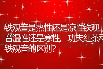 铁观音是热性还是凉性铁观音温性还是寒性