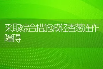 采取综合措施减轻香葱连作障碍