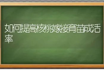 如何提高核桃嫁接育苗成活率