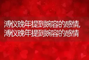 溥仪晚年提到婉容的感情