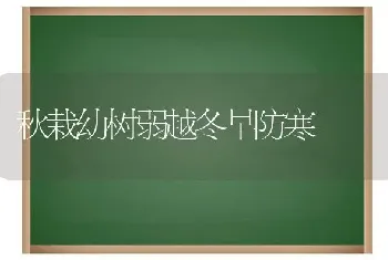 秋栽幼树弱越冬早防寒