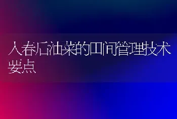 三招应对辣椒根部病害