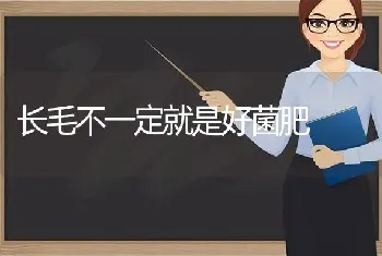 长毛不一定就是好菌肥