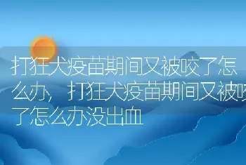 打狂犬疫苗期间又被咬了怎么办,打狂犬疫苗期间又被咬了怎么办没出血