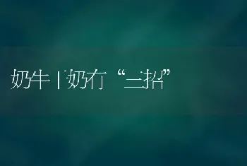 奶牛干奶有“三招”