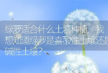 绿萝适合什么土壤种植