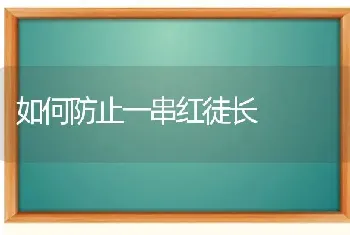 如何防止一串红徒长