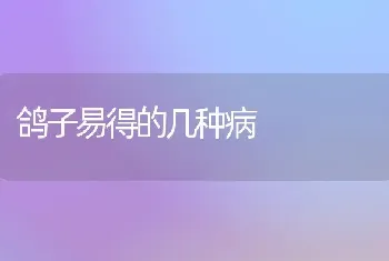 鸽子易得的几种病