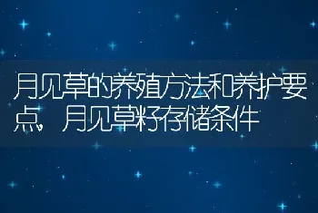 月见草的养殖方法和养护要点