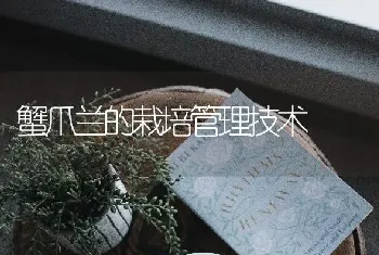 蟹爪兰的栽培管理技术