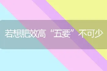 若想肥效高“五要”不可少