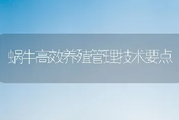 蜗牛高效养殖管理技术要点