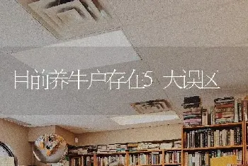 目前养牛户存在5大误区