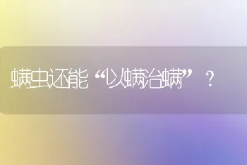 螨虫还能“以螨治螨”?