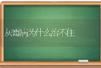 灰霉病为什么治不住