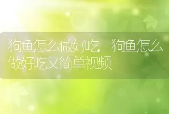 狗鱼怎么做好吃,狗鱼怎么做好吃又简单视频