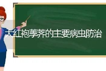 大红袍荸荠的主要病虫防治