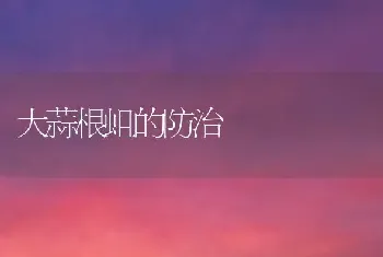 篦齿苏铁