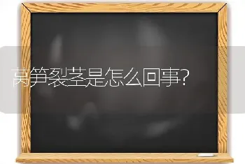 莴笋裂茎是怎么回事?