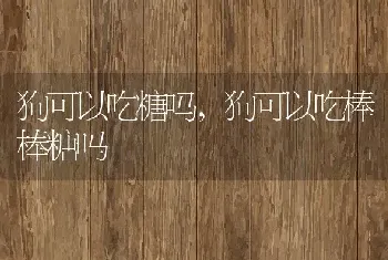 狗可以吃糖吗