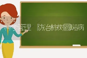 科学管理 防治柿树圆斑病