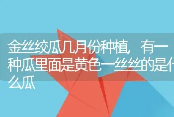 金丝绞瓜几月份种植