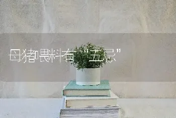 蜜蜂白垩病的预防